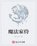 魔法世家是什么