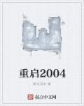 重启2006在线