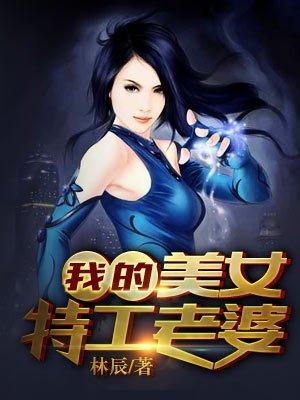 我的美女特工老婆TXT格式