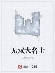 大唐无双无名带什么白金武将