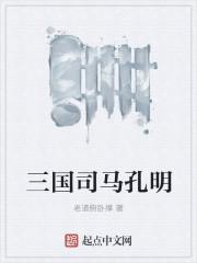孔明和司马懿的战争