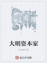 明朝发展资本主义