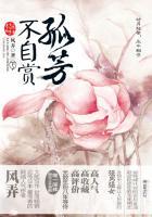 孤芳不自赏下一句诗词