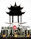 明末疯狂打天下TXT