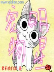 宠物大亨