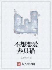 不想养猫了要怎么处理