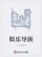 娱乐导演人生