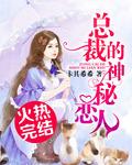 总裁的神秘恋人简介
