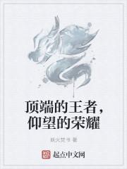 王者荣耀顶端局数据网站