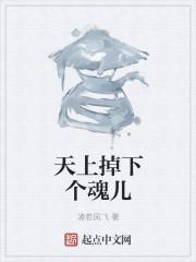 天上掉下个儿子完整版