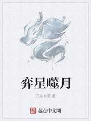 弈星主几技能