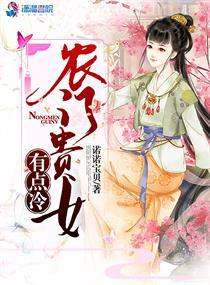 农门贵女有点冷乐文