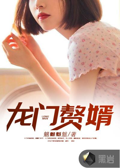 龙门赘婿小娘子