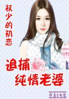权少的追妻游戏全文阅读