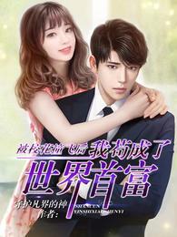都市最强神豪沈浪正版