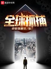 全球抓捕犯罪嫌疑人多少人