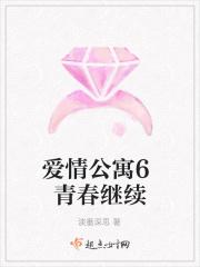 爱情公寓6续集