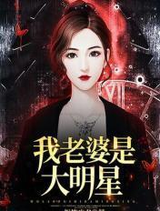 我老婆是大明星讲的是什么故事