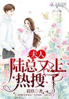 陆总夫人又离婚了