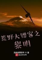 荒野大镖客里的l