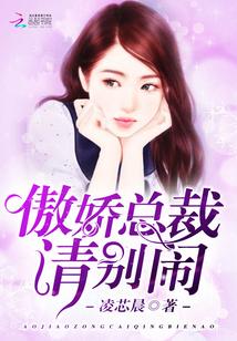 傲娇总裁别太坏