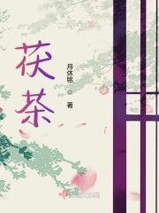 茯茶怎么泡