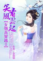 关于女佣兵穿越的