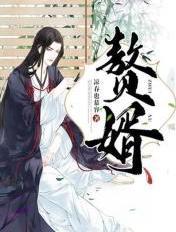赘婿电视剧免费观看全集在线播放
