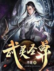 武灵圣尊禹枫百度百科