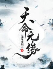 天命无常人如风絮是什么意思