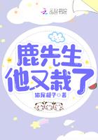 鹿先生眼中有星辰免费