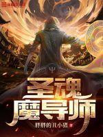 圣导师新技能风魂怎么获取