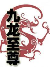 特种兵之九龙至尊