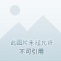 锦绣满堂105集免费观看
