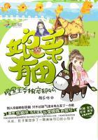 腹黑娘亲逆天儿子全文免费阅读