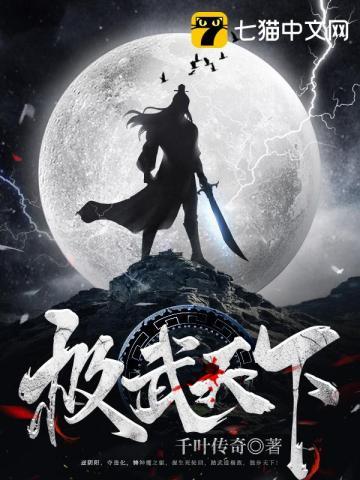 武极天下圣美