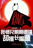 我师兄明明很强却过分较真