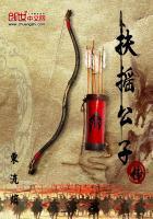扶摇的男主角叫什么