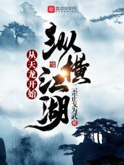 武侠从天龙开始 作者 鬼使神差