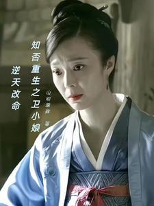 知否知否 卫小娘