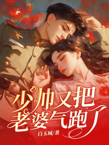 少帅老婆你又跑了