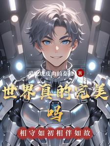 世界有完美的东西吗