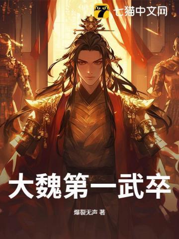 大魏第一武卒苏婉最新章节列表及评价和反馈