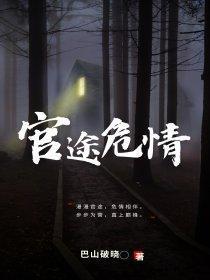 官途危情-巴山破晓全文免费阅读
