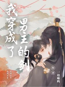 剑灵变换