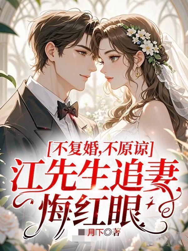 江先生情深不渝免费全文