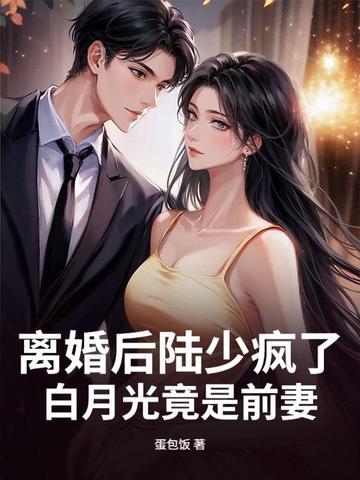 陆少攻略白月光免费阅读