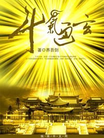 斗气是哪部
