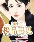 重生之极品再见好无语