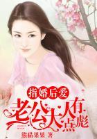婚后成瘾老公太凶猛